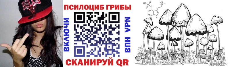 Галлюциногенные грибы ЛСД  даркнет сайт  Вихоревка 